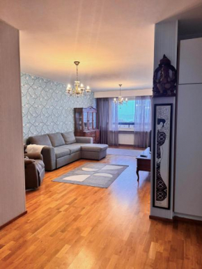 Spacious apartment near castle Savonlinna
